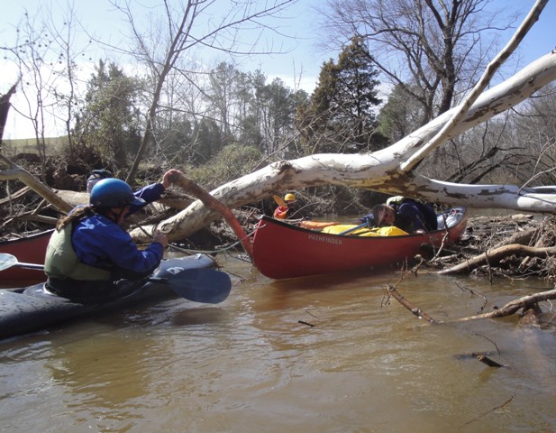 Log Jam on South Anna River 3-19-2011