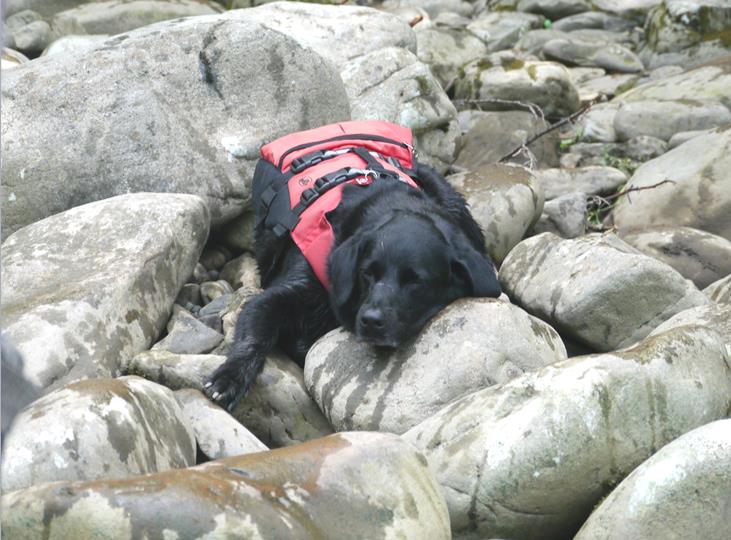 Ruff Day on the Lower Yough, resting at swimmers.