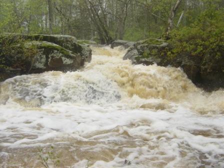 Mid-rapid